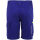 PLANAM STRETCHLINE Shorts Kornblau