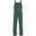PLANAM VISLINE Latzhose Grün/Orange Gr. 25