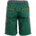 PLANAM VISLINE Shorts Grün/Orange Gr. XL
