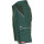 PLANAM CANVAS320 Shorts Grün/Grün